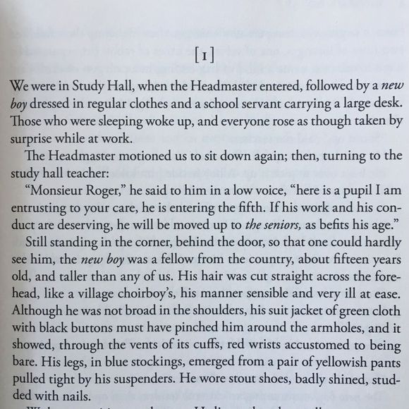 BOOK, Madame Bovary Paperback Fiction Novel, NEW - Picture 7 of 9